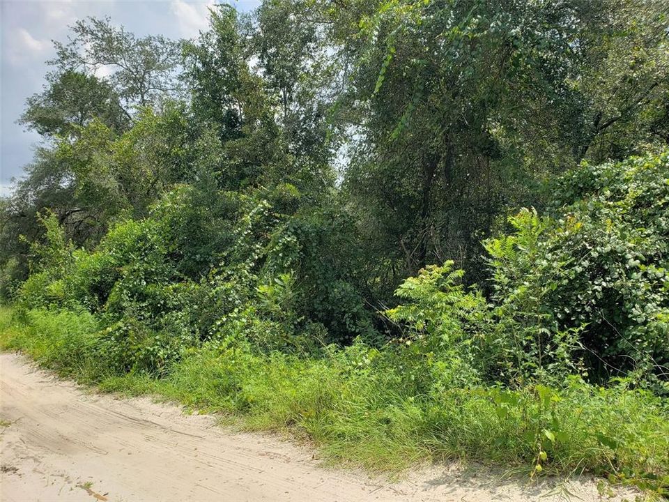 For Sale: $49,999 (0.37 acres)