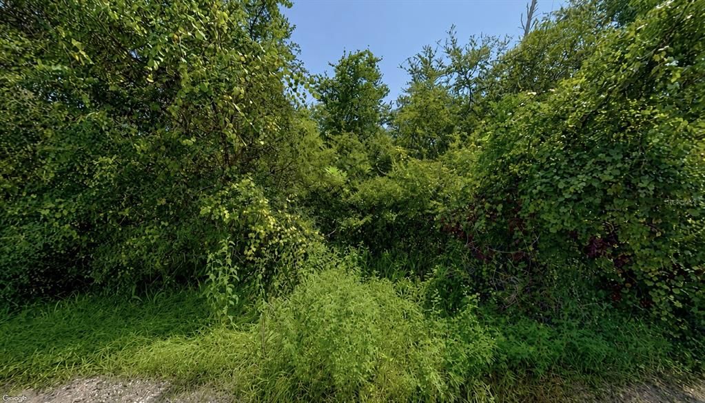 For Sale: $49,999 (0.37 acres)