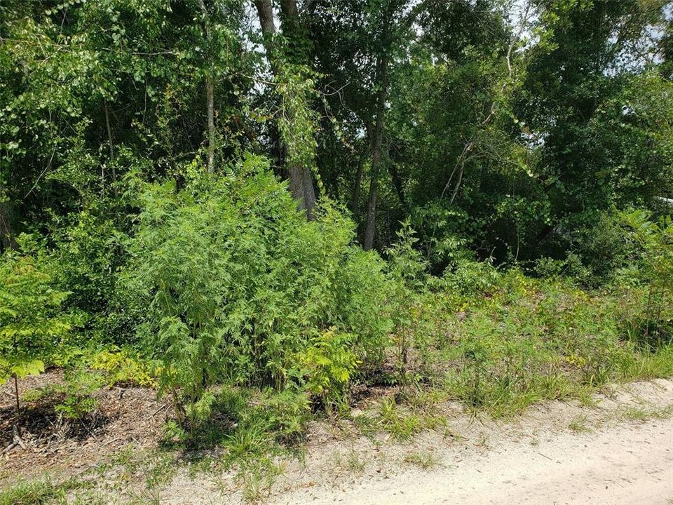На продажу: $39,999 (0.24 acres)