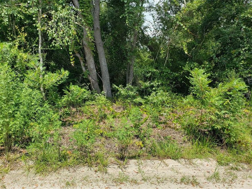 На продажу: $39,999 (0.24 acres)
