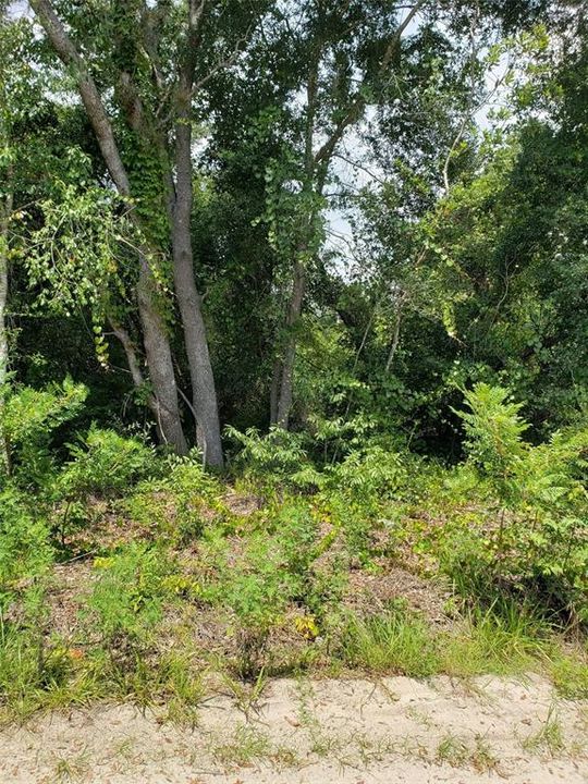 На продажу: $39,999 (0.24 acres)