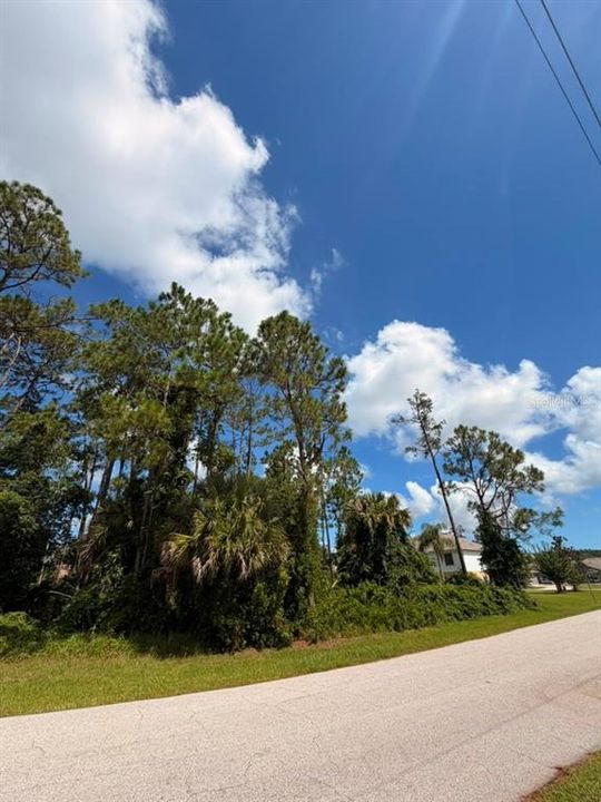 For Sale: $69,000 (0.30 acres)
