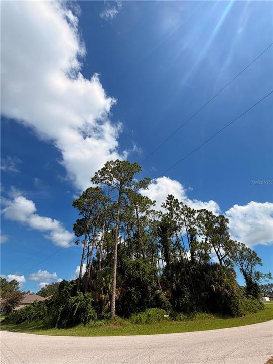 For Sale: $69,000 (0.30 acres)