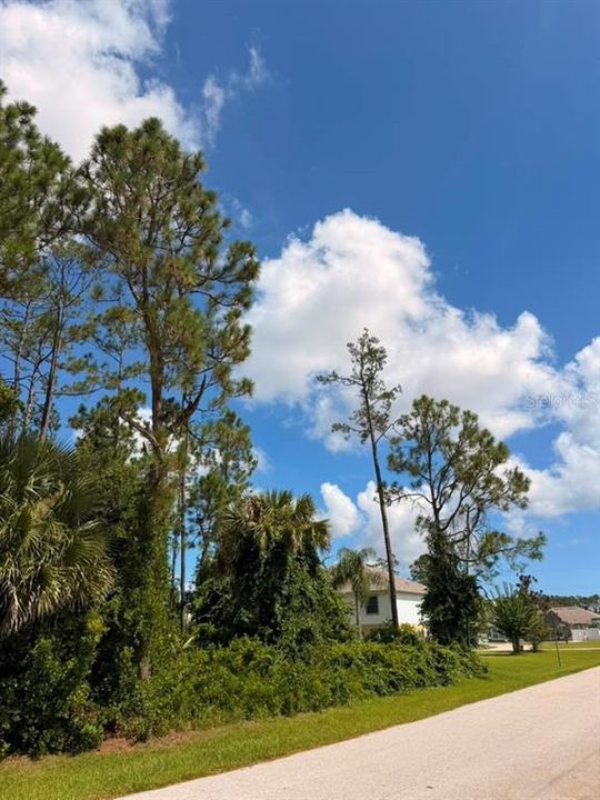 For Sale: $69,000 (0.30 acres)