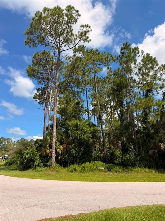 For Sale: $69,000 (0.30 acres)