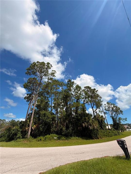 For Sale: $69,000 (0.30 acres)
