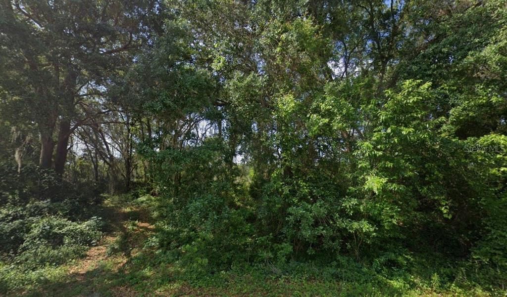 待售: $31,900 (0.28 acres)