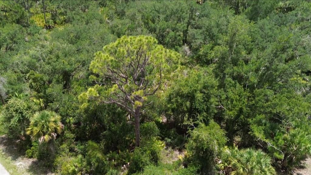 En Venta: $22,000 (0.34 acres)