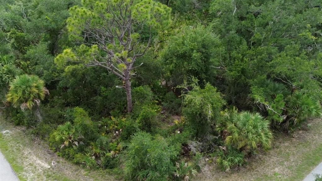 En Venta: $22,000 (0.34 acres)
