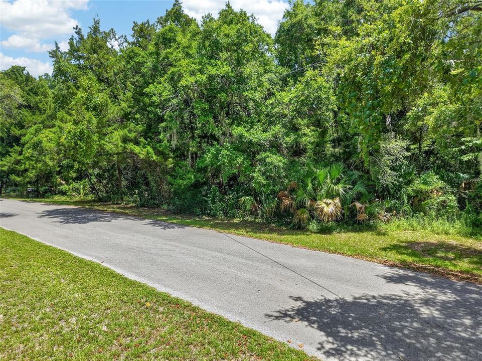 For Sale: $35,000 (0.52 acres)