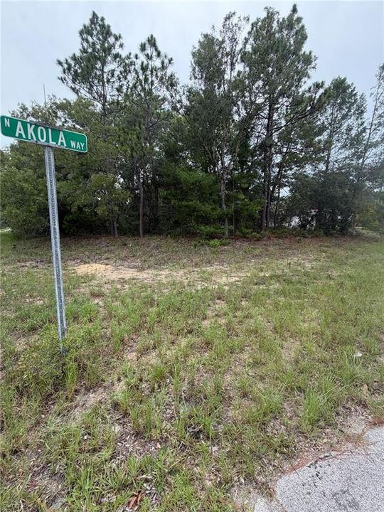 En Venta: $26,500 (0.35 acres)
