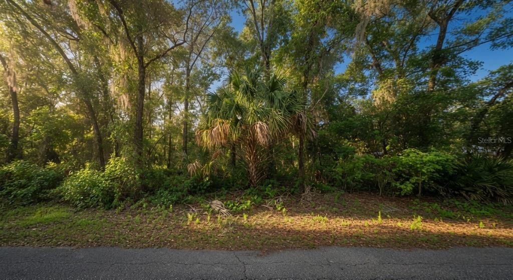 На продажу: $21,000 (0.39 acres)