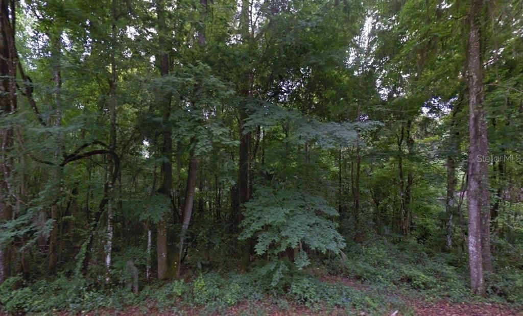 En Venta: $19,000 (0.34 acres)