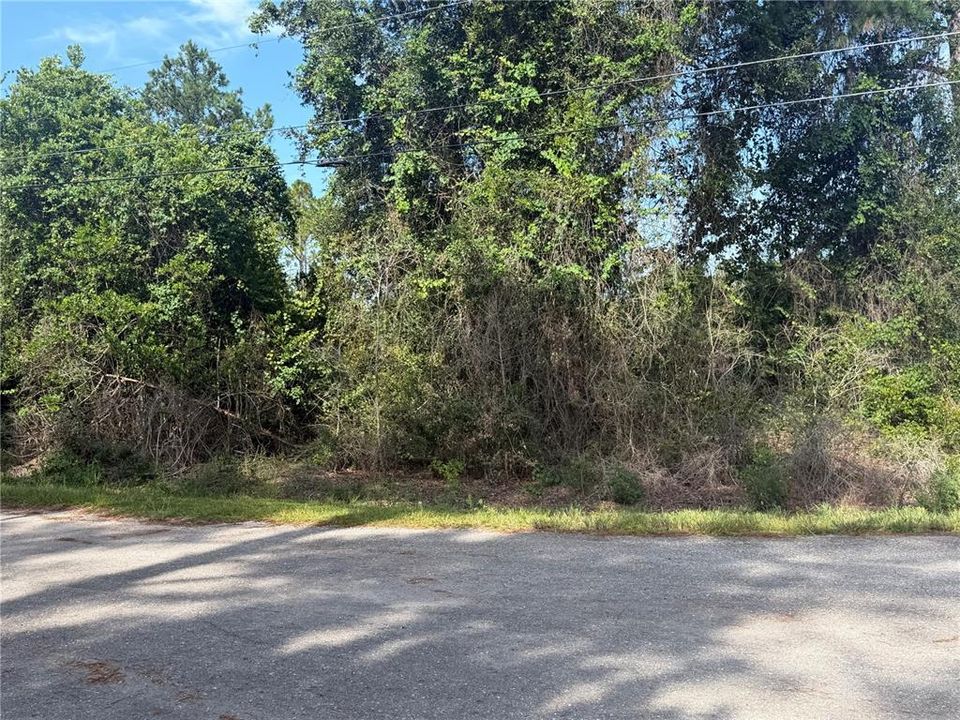 For Sale: $65,000 (0.85 acres)