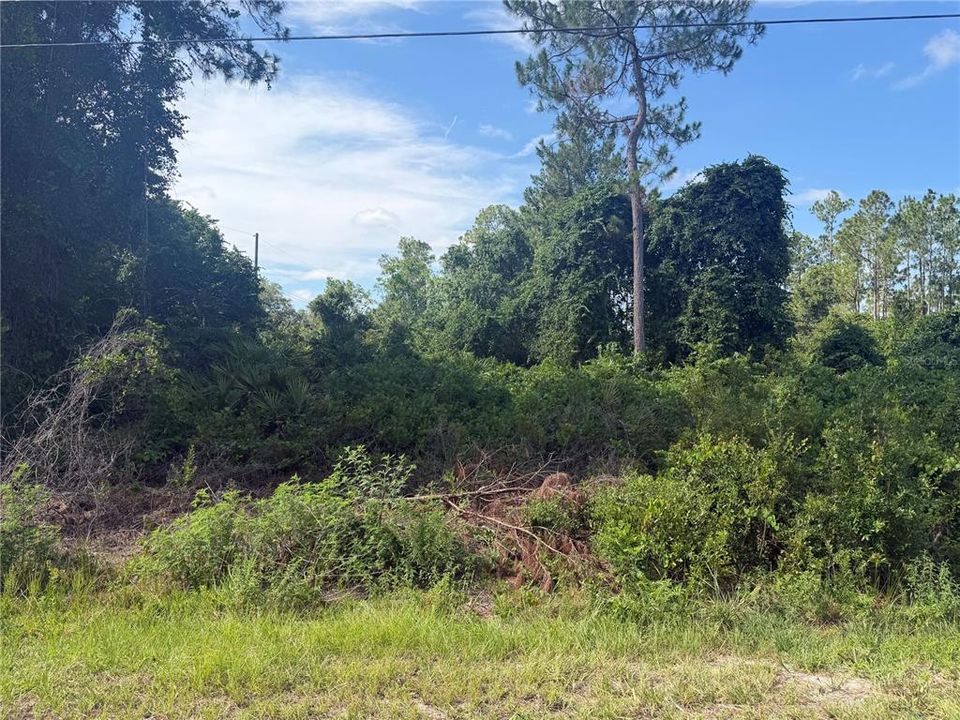 For Sale: $65,000 (0.85 acres)