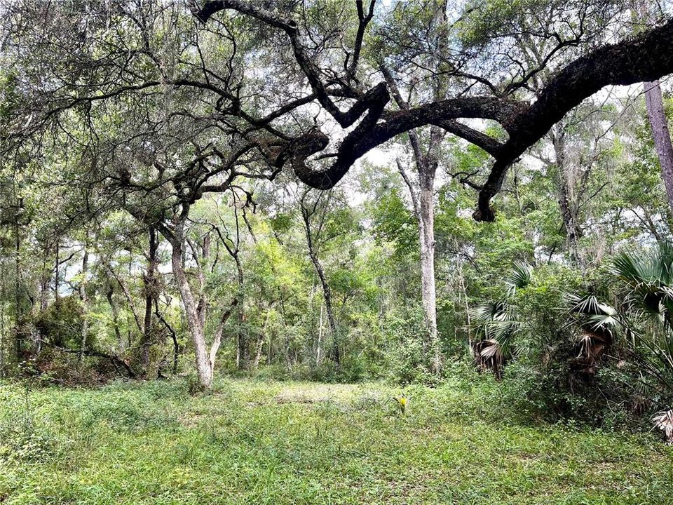 For Sale: $245,000 (3.85 acres)