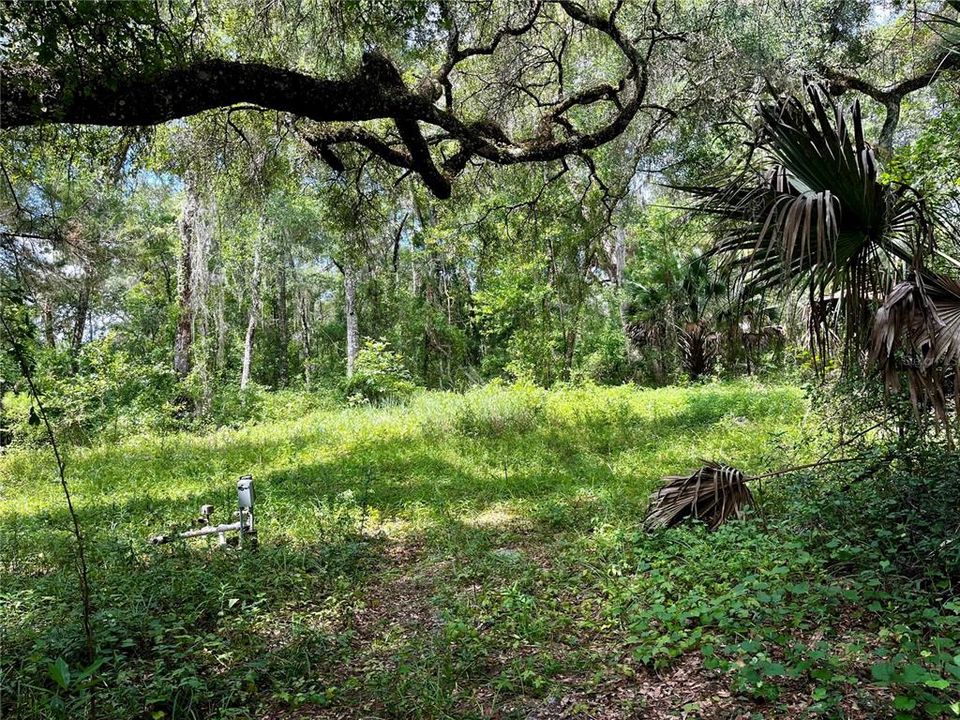 For Sale: $245,000 (3.85 acres)