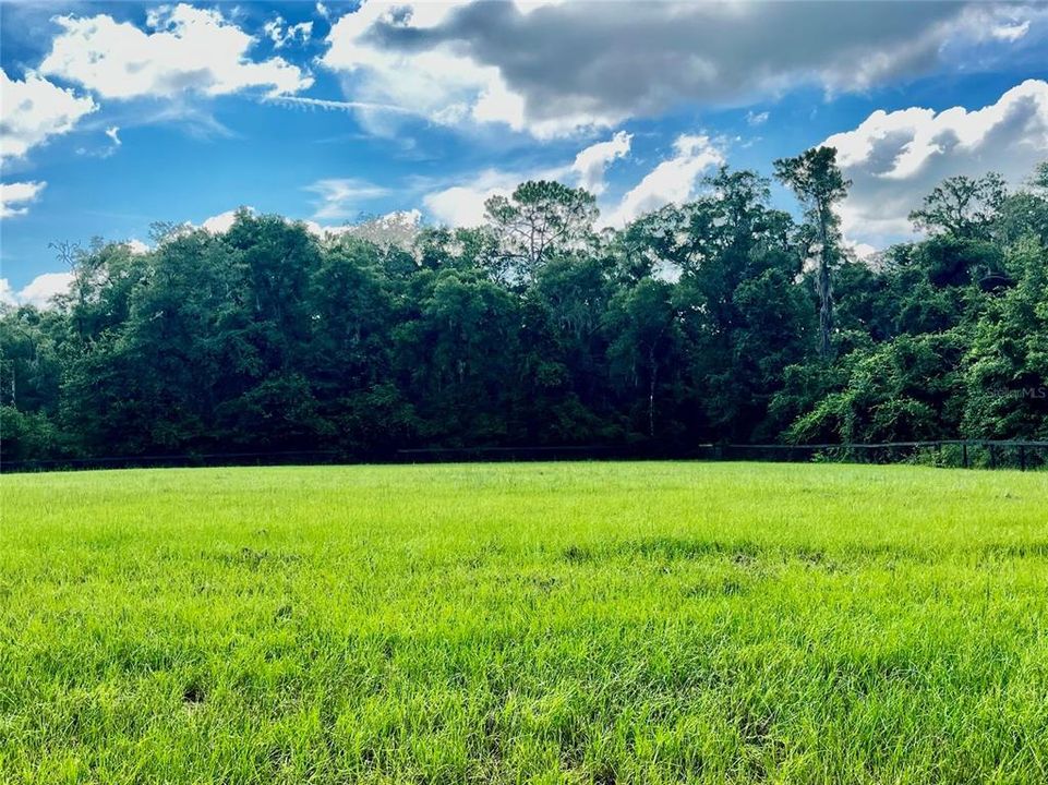For Sale: $245,000 (3.85 acres)