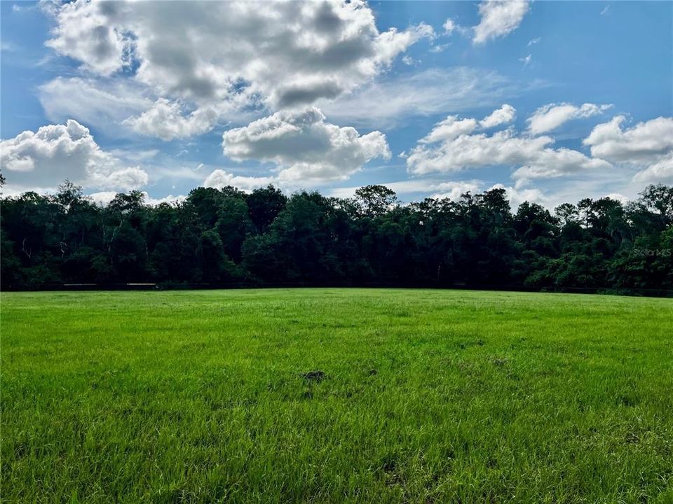 For Sale: $245,000 (3.85 acres)