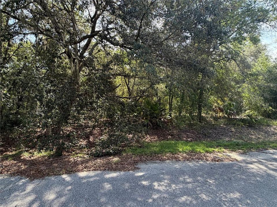 En Venta: $24,000 (0.24 acres)