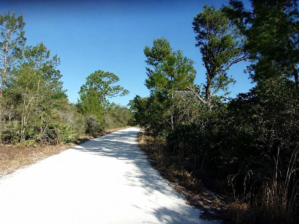 For Sale: $8,000 (0.23 acres)