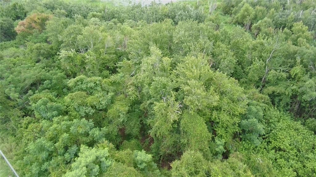 For Sale: $159,900 (3.43 acres)