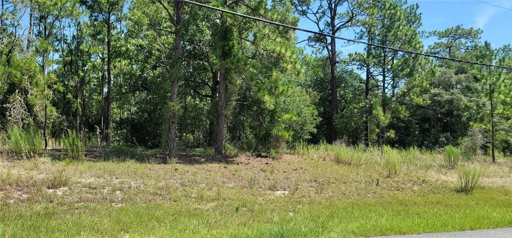 На продажу: $30,000 (0.23 acres)