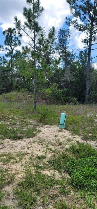 На продажу: $30,000 (0.23 acres)