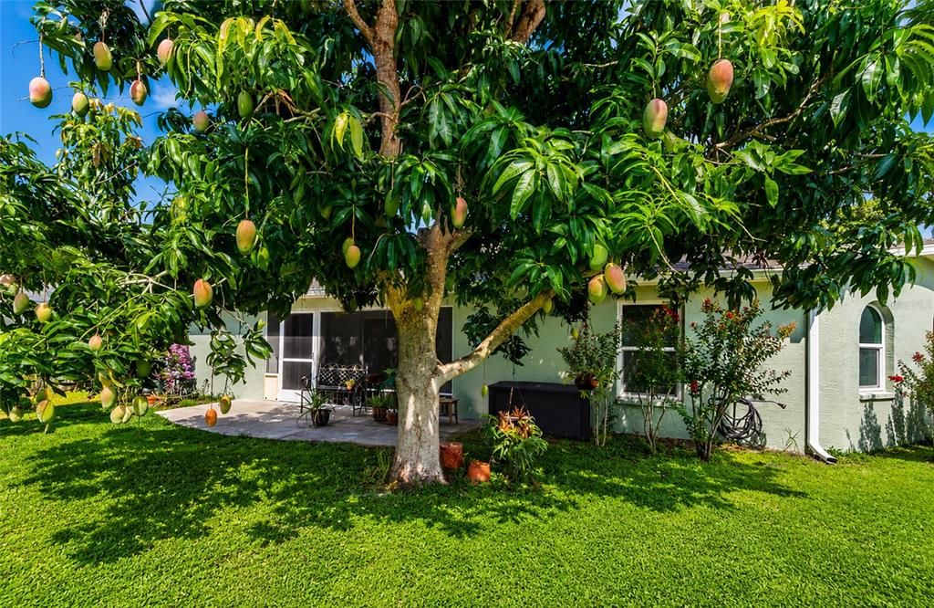 На продажу: $449,900 (4 спален, 2 ванн, 1755 Квадратных фут)