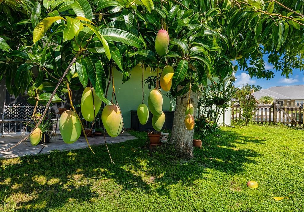 На продажу: $449,900 (4 спален, 2 ванн, 1755 Квадратных фут)