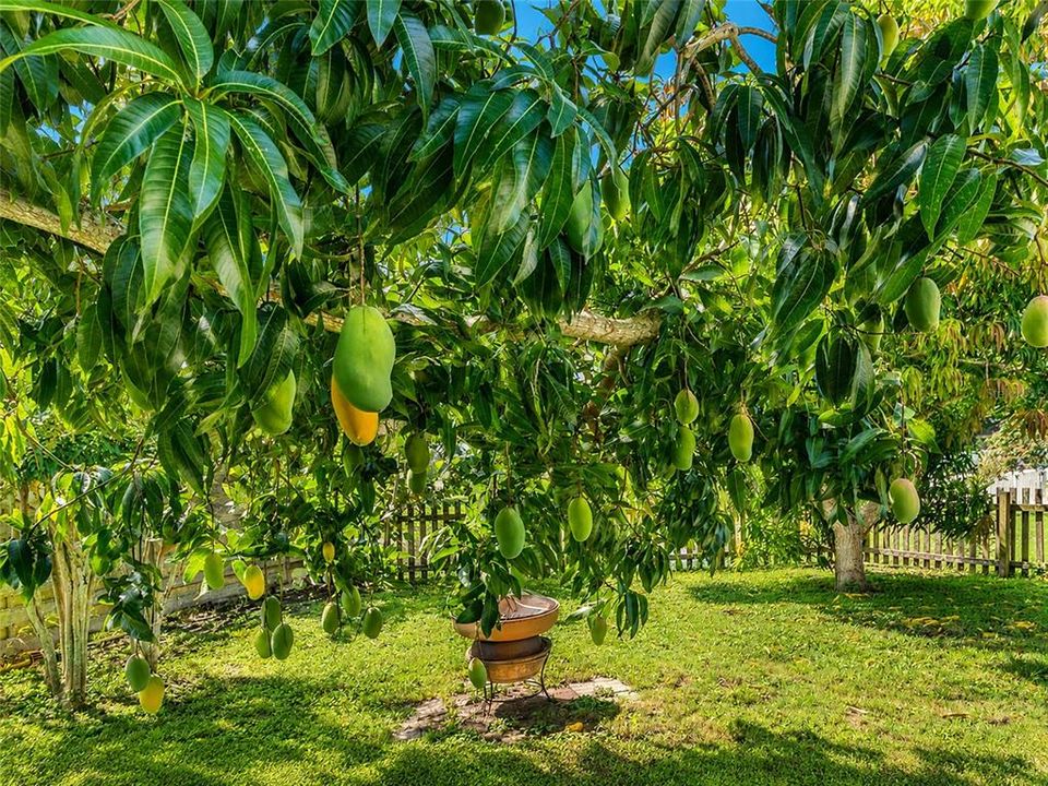 На продажу: $449,900 (4 спален, 2 ванн, 1755 Квадратных фут)