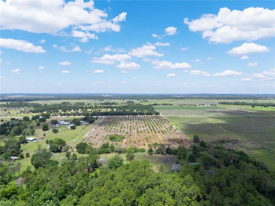 For Sale: $350,000 (20.17 acres)