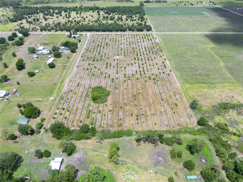 For Sale: $350,000 (20.17 acres)
