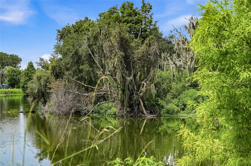En Venta: $950,000 (2.05 acres)