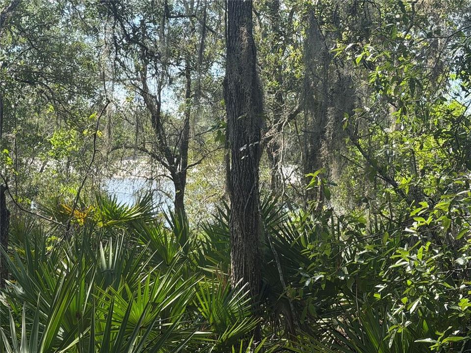 For Sale: $37,000 (0.42 acres)