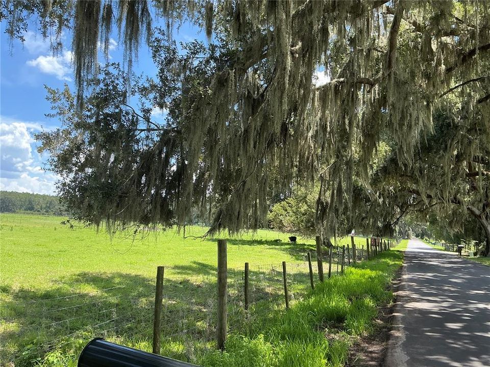 待售: $899,900 (18.82 acres)