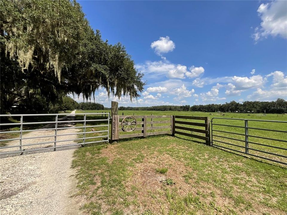 待售: $899,900 (18.82 acres)