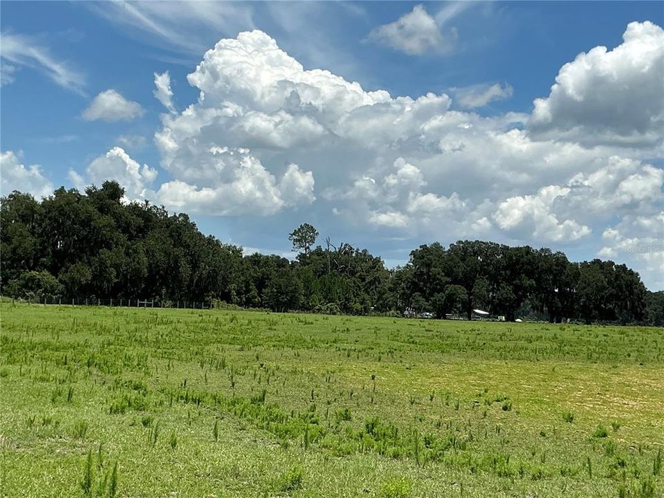 待售: $899,900 (18.82 acres)