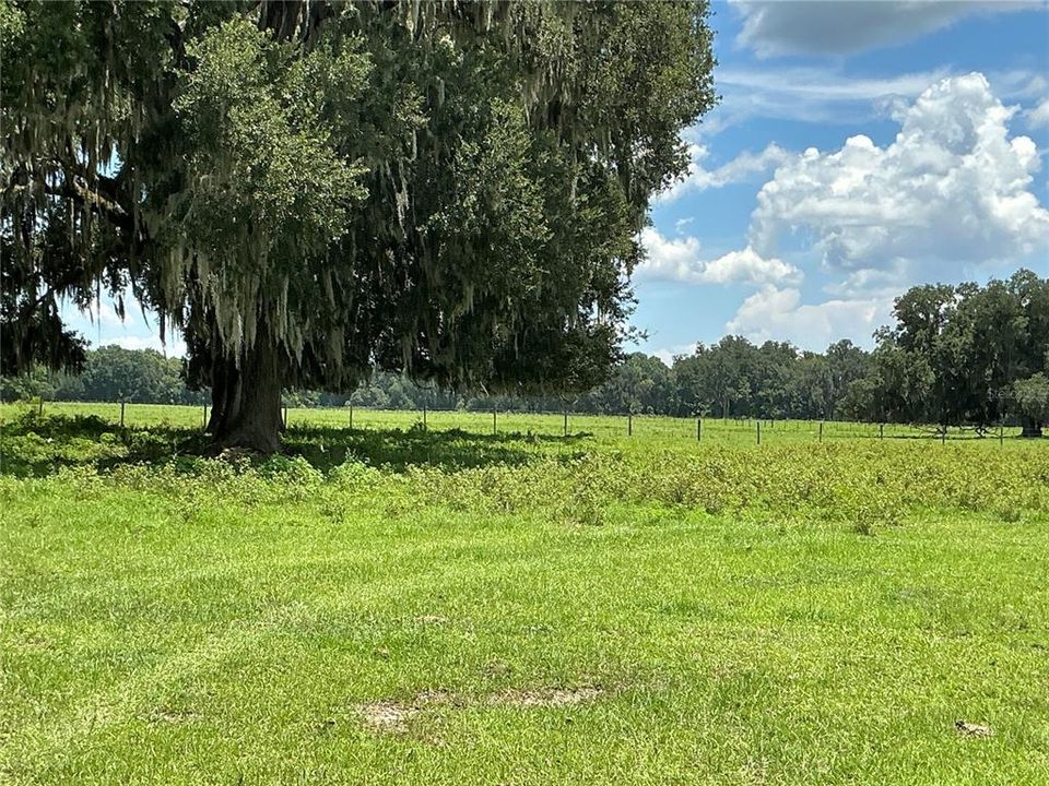 待售: $899,900 (18.82 acres)