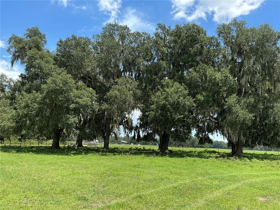 待售: $899,900 (18.82 acres)