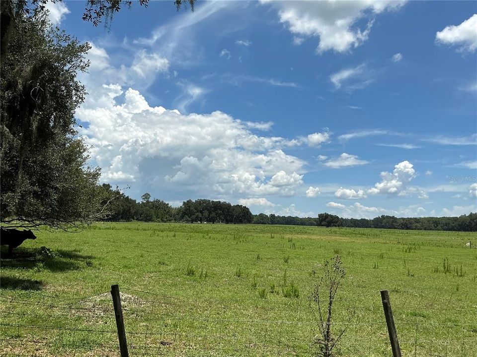 待售: $899,900 (18.82 acres)