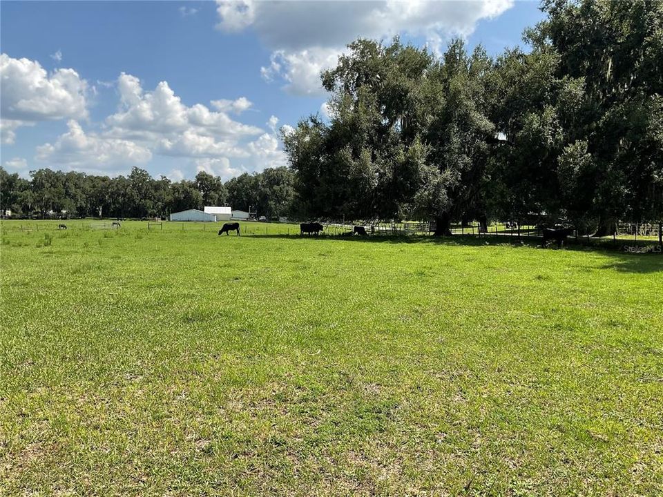 待售: $899,900 (18.82 acres)