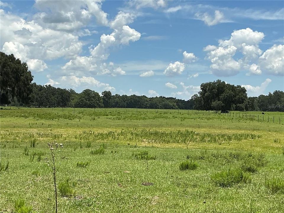 待售: $899,900 (18.82 acres)