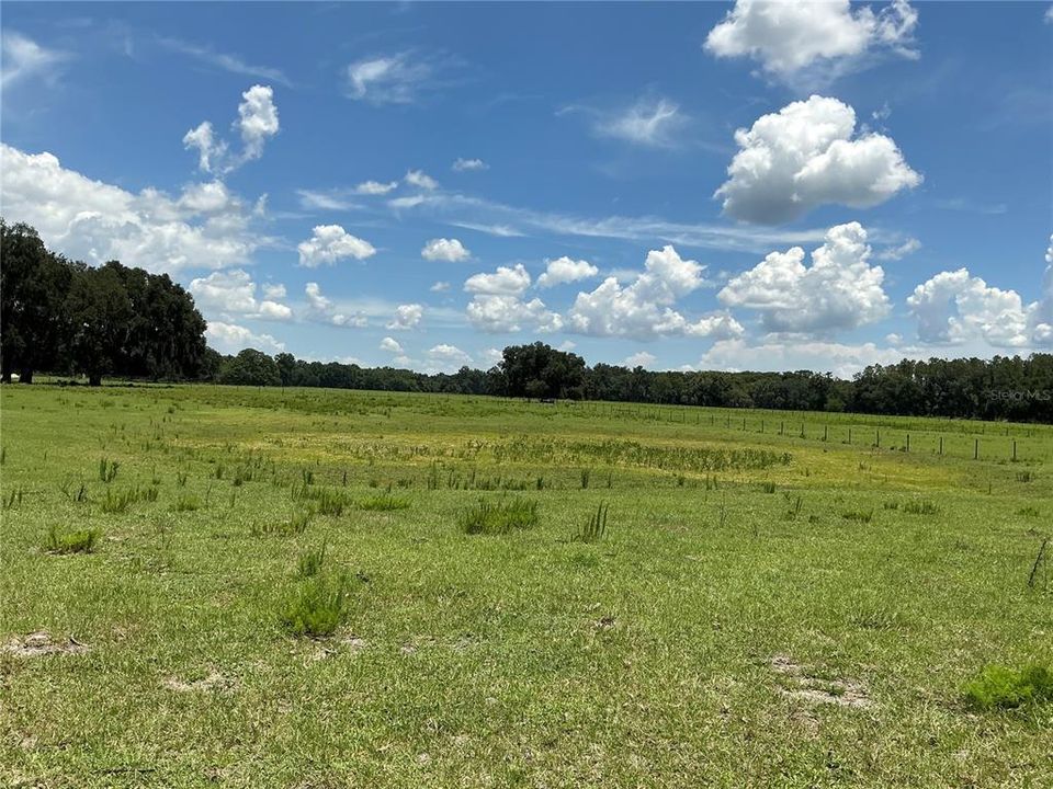 待售: $899,900 (18.82 acres)