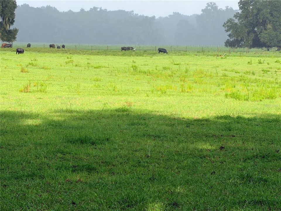待售: $899,900 (18.82 acres)
