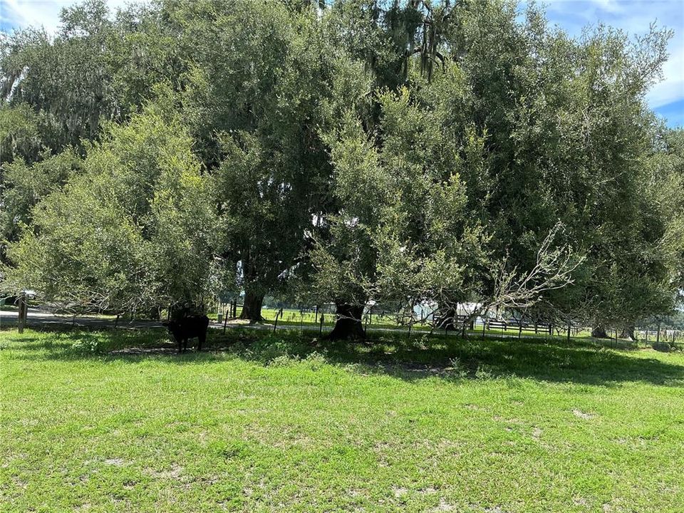 待售: $899,900 (18.82 acres)