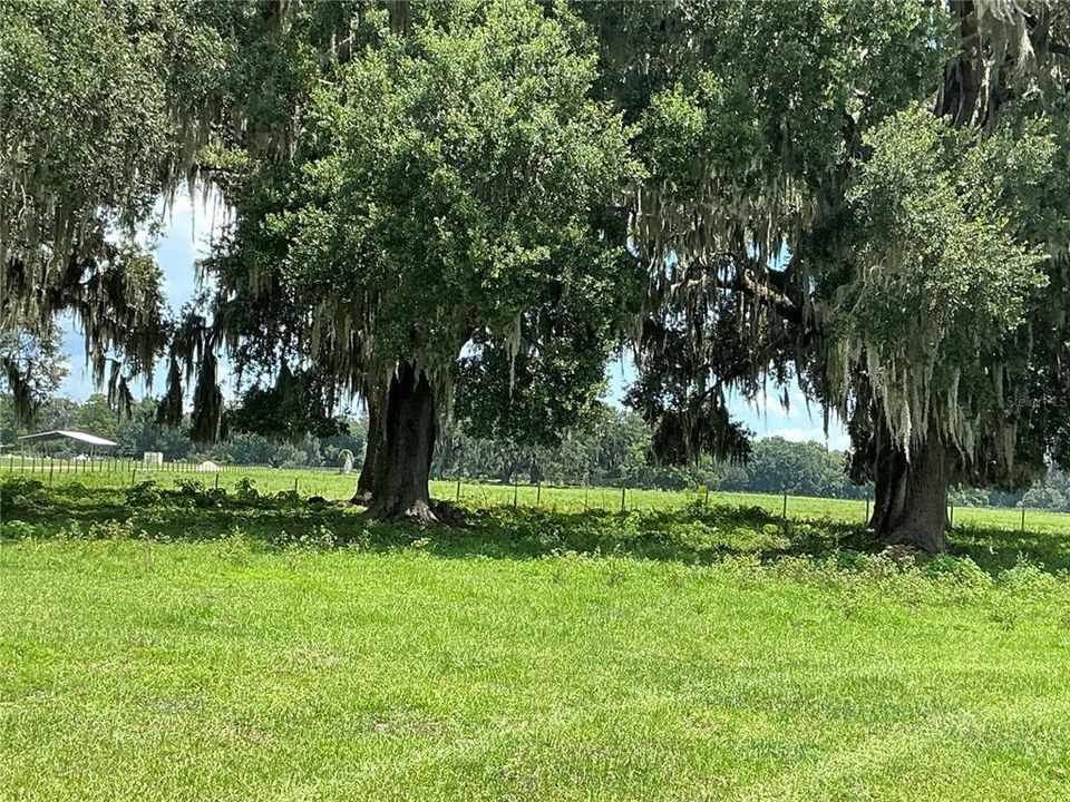 待售: $899,900 (18.82 acres)