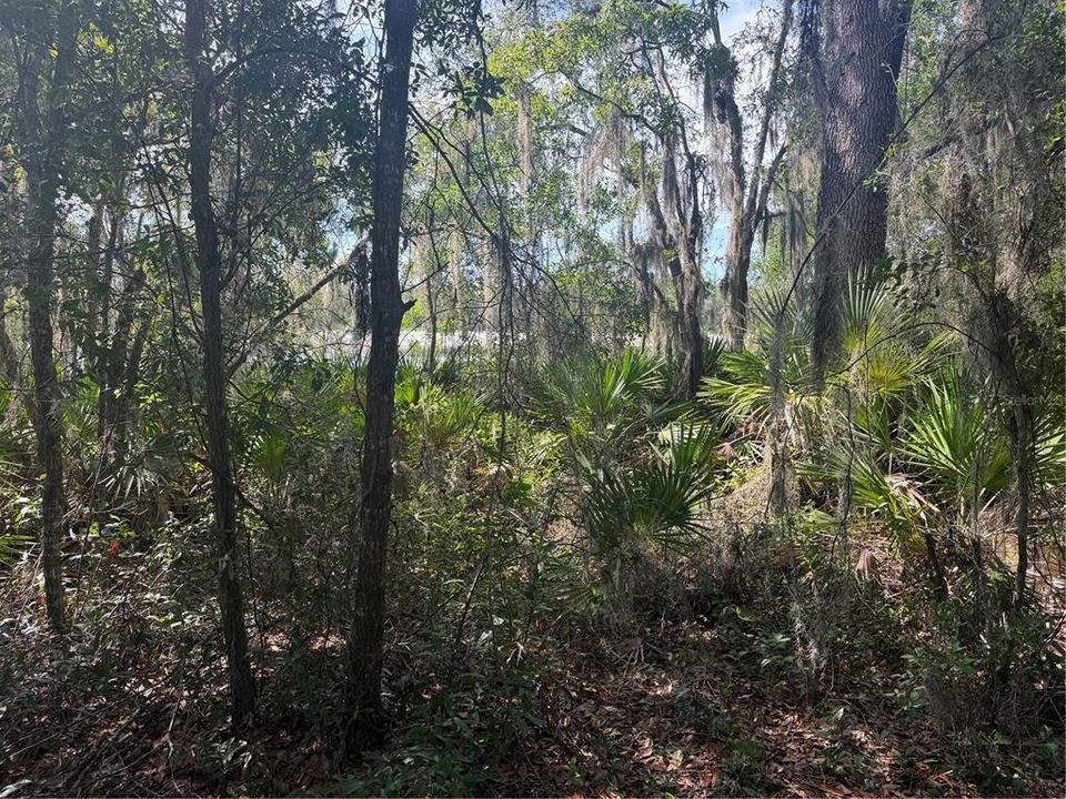 На продажу: $37,000 (0.43 acres)