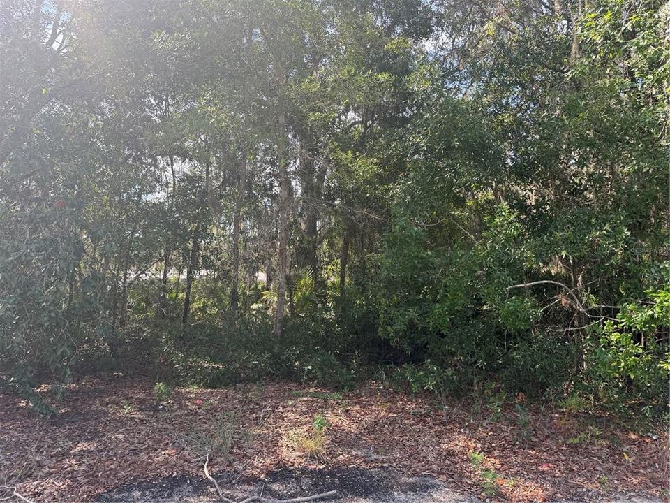 На продажу: $37,000 (0.43 acres)