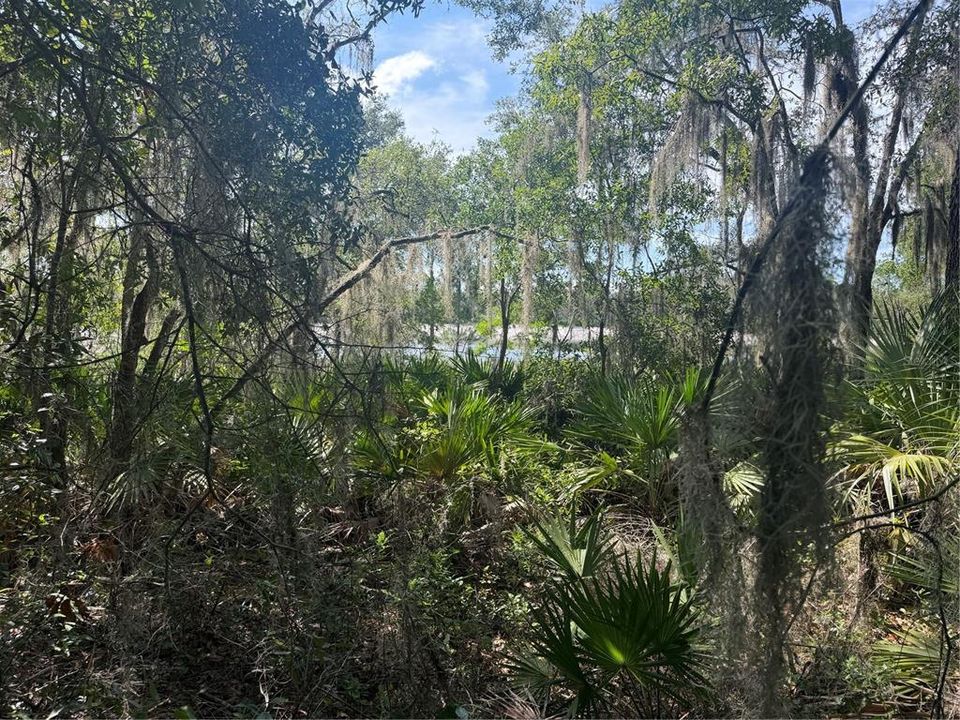 На продажу: $37,000 (0.43 acres)